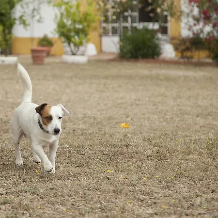 Hotell Alojamiento Rural Historico El Vaqueril