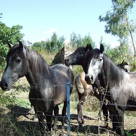 Alojamiento Rural Historico El Vaqueril 호텔 Caces