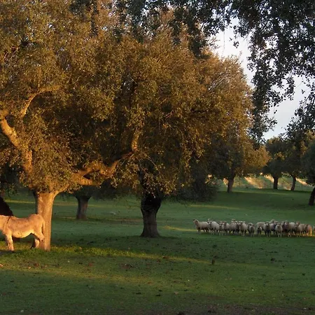 Alojamiento Rural Historico El Vaqueril 2*