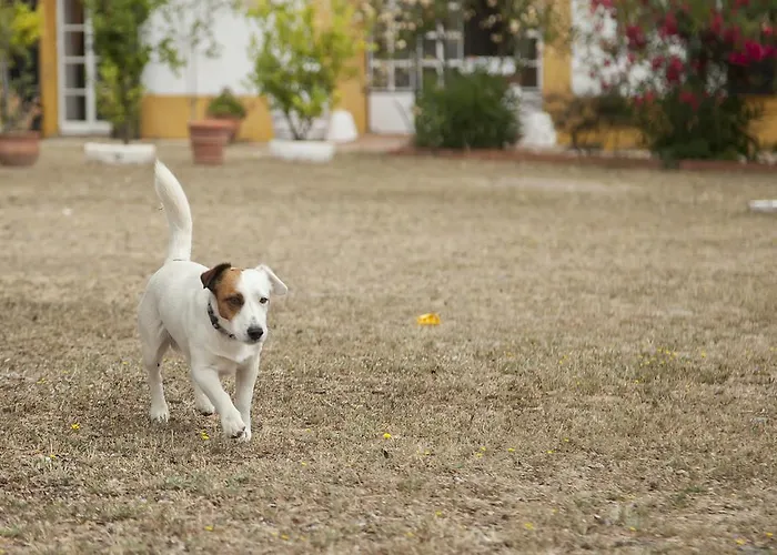 Hotel Alojamiento Rural Histórico El Vaqueril