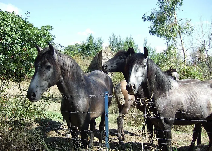 Alojamiento Rural Histórico El Vaqueril Hotel Caces