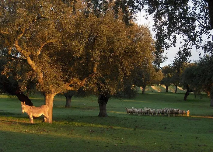 Alojamiento Rural Histórico El Vaqueril 2*